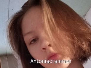 Antoniacrammer