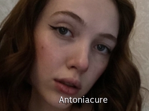 Antoniacure