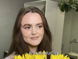 Antoniadudley