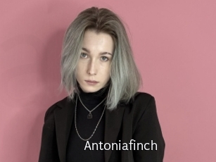 Antoniafinch