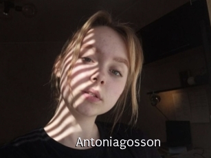 Antoniagosson