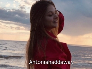 Antoniahaddaway