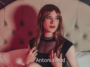 Antoniawod