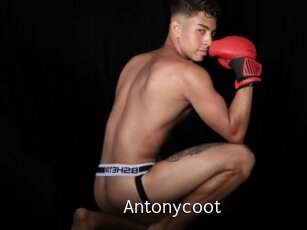 Antonycoot