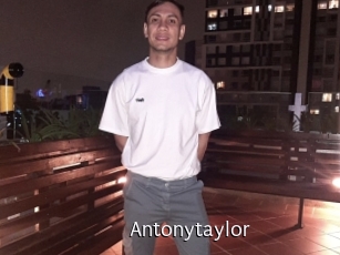 Antonytaylor