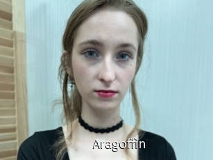 Aragoffin