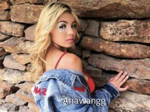 Ariawangg