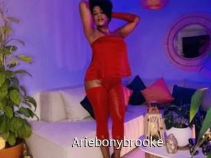 Ariebonybrooke
