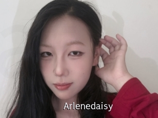 Arlenedaisy