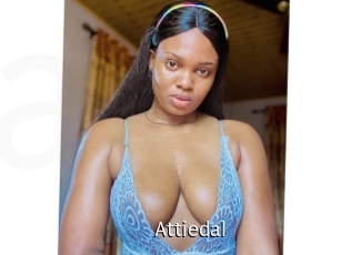 Attiedal