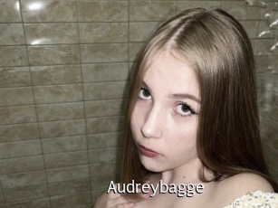 Audreybagge