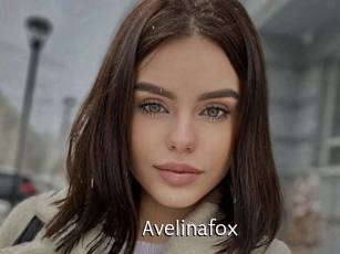 Avelinafox
