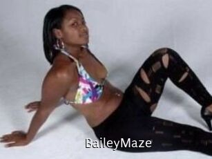 Bailey_Maze