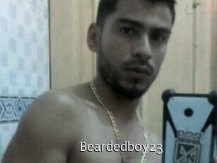 Beardedboy23