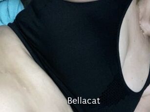 Bella_cat