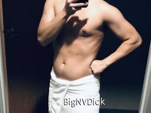 BigNVDick