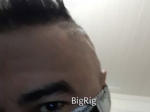 BigRig Anal Fist