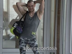 BjornVanderStein