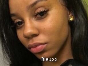 Bleu22 Anal Fist