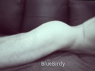 BlueBirdy