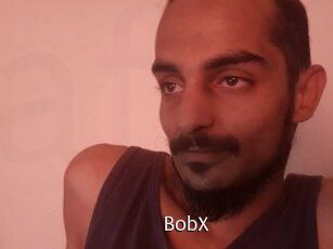 BobX
