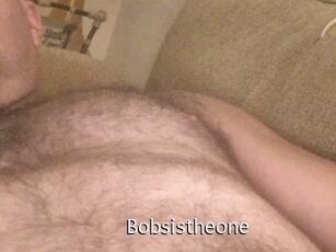 Bobsistheone