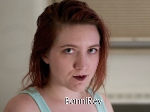BonniRey Anal Fist