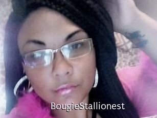 BougieStallionest