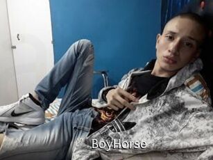 BoyHorse