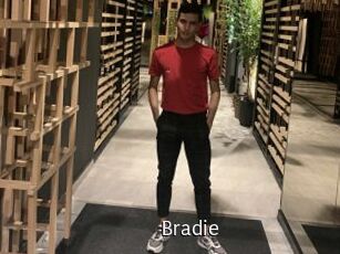 Bradie Anal Fist