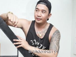 BrandonHarry