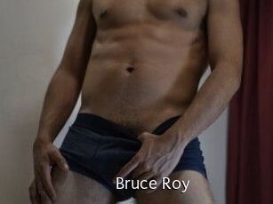 Bruce_Roy