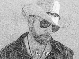 Bumper