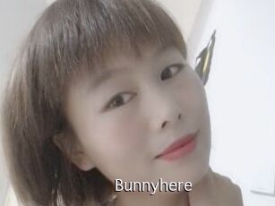 Bunnyhere