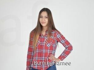 BurningFlamee