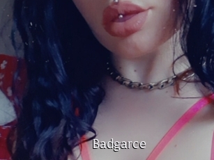 Badgarce