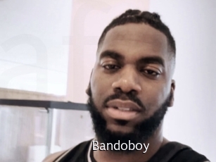 bandoboy Anal Fist