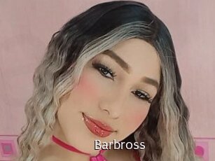 Barbross