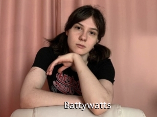 Battywatts