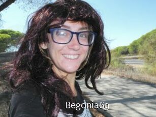 Begonia69