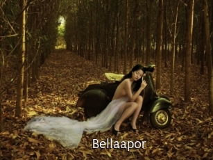 Bellaapor