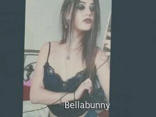 Bella_bunny