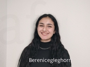 Berenicegleghorn