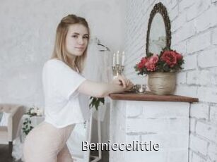 Berniecelittle