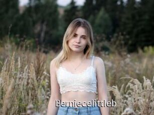 Berniecelittleb
