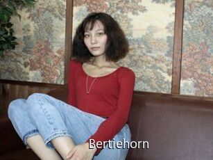 Bertiehorn