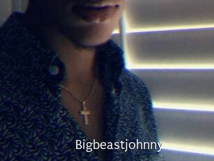 Bigbeastjohnny