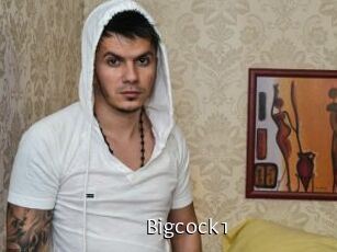 Bigcock1