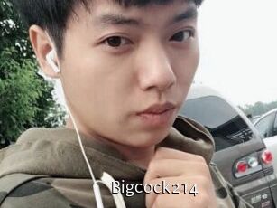 Bigcock214