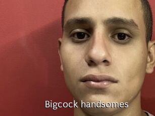 Bigcock_handsomes